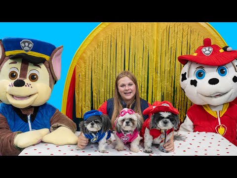 Assistant Turns Dogs Wiggles Waggles and Waffles into Paw Patrol