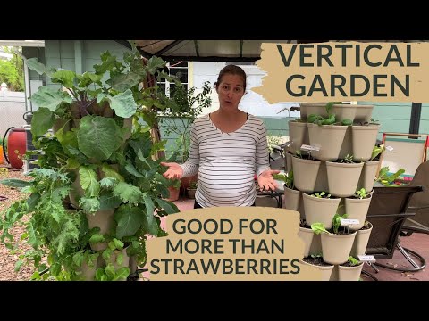 Small Space Container Vegetable Gardening