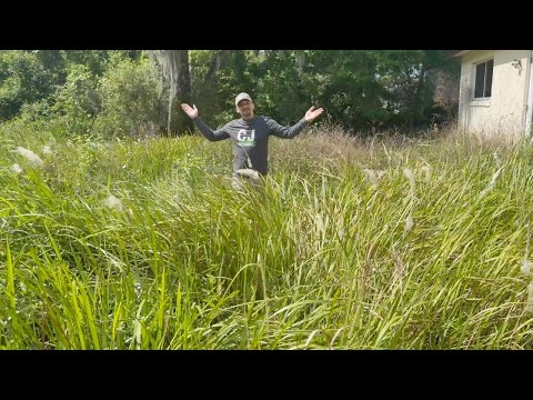 Clearing 3 YEARS of OVERGROWN LAWN for Neighborhood - SATISFYING Transformation