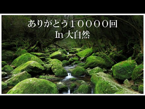 一万回「ありがとう」を大自然と共に 川のせせらぎ 鳥のさえずり