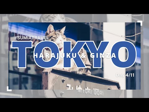 #SUMIATOUR TOKYO 2023 DAY 3 (KOPIKALYAN HARAJUKU & GINZA STROLL)