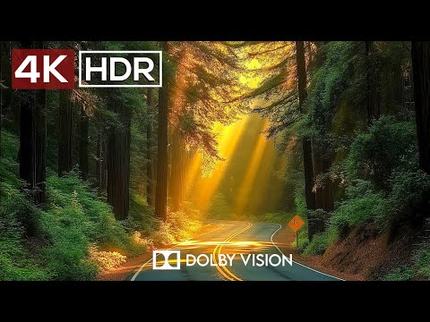 4K Video ULTRA HD 120 FPS - Best of 4K HDR Dolby Vision