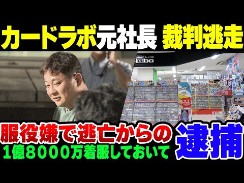 【アニメイト】アニメイト傘下のカードショップ、CardLabo元社長が1億8000万着服した上裁判から逃亡して逮捕【ゆっくり解説】