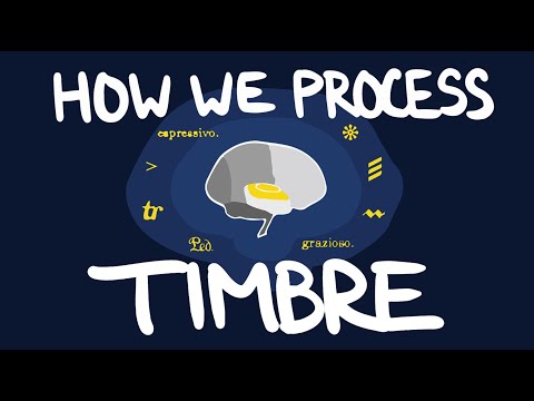 How We Process Timbre (Tone) | Neuroscience for Musicians