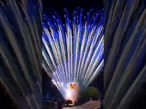 Happy Diwali Everyone | Best fireworks of 2024 #diwali#diwalispecial#festival#fireworks#Shorts#viral