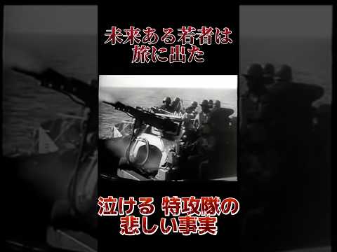 未来ある若者は旅に出た 絶対に忘れてはいけない“特攻隊”の悲しい過去 #shorts #特攻隊 #戦争