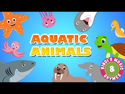 Aquatic Animals | Rhymes for kids | Educational Songs for children | Bindi's Music & Rhymes