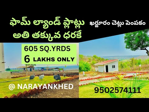 Farm land plots for sale at Narayankhed, Sangareddy district, low cost investment | 9502574111