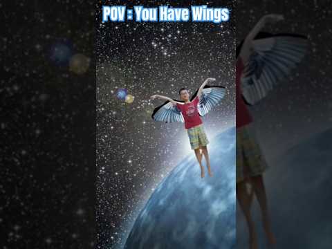 POV: You Have Wings #memes #shorts