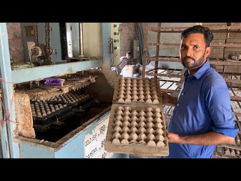 An amazing process of making egg tray using waste paper recycling