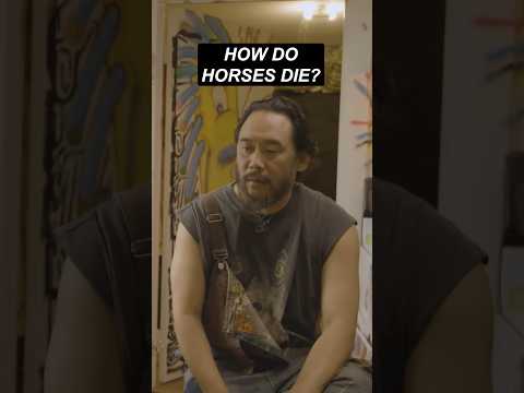 How do horses die?