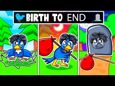 BIRTH TO END Of A HOMELESS BIRD In Roblox FEATHER FAMILY!