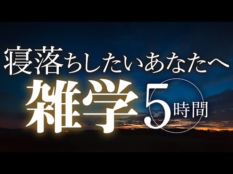 【睡眠導入】寝落ちしたいあなたへ雑学5時間【合成音声】