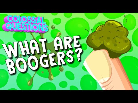 What Are Boogers? | COLOSSAL QUESTIONS