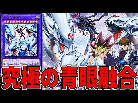 【遊戯王】 伝説の2体が融合!  新パックで登場した青眼新規「究極竜魔導師」を徹底解説 【ゆっくり解説】#遊戯王ocg #ゆっくり実況 #青眼 #ブルーアイズホワイトドラゴン