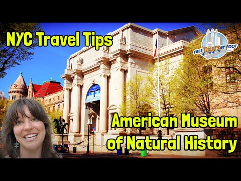 American Museum of Natural History NYC Tickets, Tours, and Planning Tips