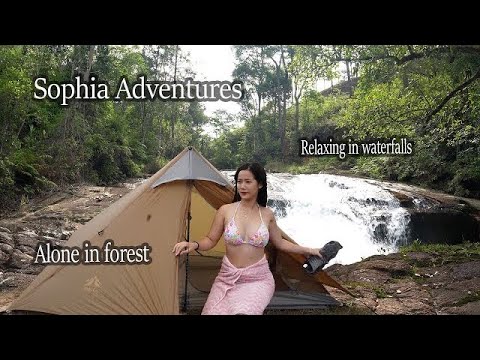 Full Video 2 days Solo Camping In The Pine Porest  -  Relaxing  -  Cooking - Swimming - Morning Yoga