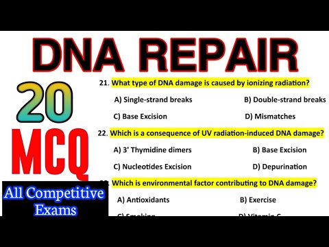 DNA Repair Mechanism MCQ || Molecular Biology| Most Important Questions And Answers