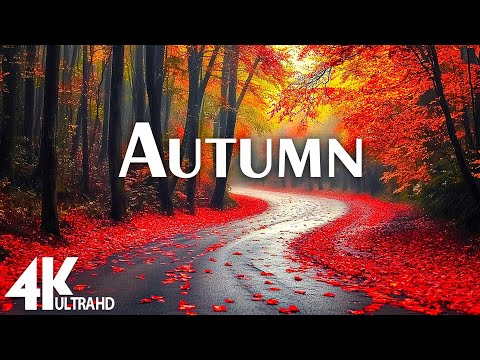 FLYING OVER AUTUMN (4K UHD) - Relaxing Music Along With Beautiful Nature Videos - 4K Video HD