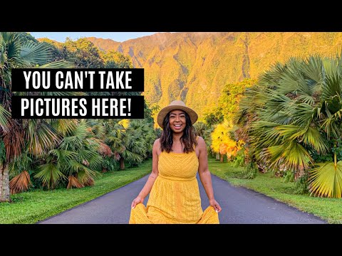 You Can't Take Photos Here! Hawaii Vegan Vlog Part 4