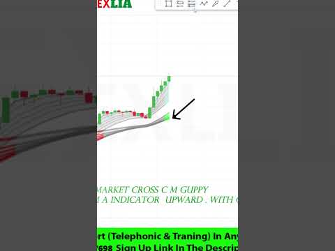 Powerful Buy Sell Signal Indicator For Forex Trader               #scalpingstrategy #forex