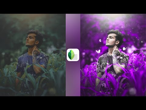 Snapseed Purple color tone photo editing | Purple tone photo editing | Snapseed photo editing