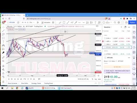 Bitcoin USD Trading INVESTING Forex