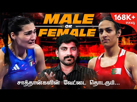 TP Vicky மாட்டிக்கொண்டார் | Imane Khelif Male or Female | Angela Carini Issue Update | TP