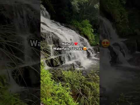 Waterfalls sound 😍 Just close your eyes & listen #waterfall #waterfallsounds #trend #sahabazvlogs