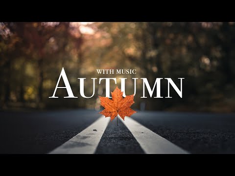 Scenic Autumn in Denmark, Beautiful nature with music