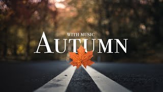 Scenic Autumn in Denmark, Beautiful nature with music