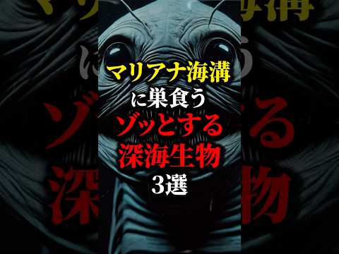 マリアナ海溝にいるゾッとする深海生物３選。怖いけど..#都市伝説 #雑学 #怖い話