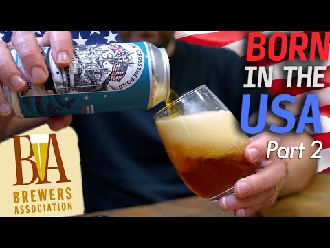 Tasting 6 American homegrown beer styles (part 2)