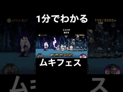 【にゃんこ大戦争】1分でわかるムキフェス