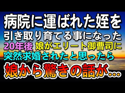 【感動する話】姪を兄夫婦から引き取り育てた。20年後 娘が突然御曹司からプロポーズされ後日娘からの話に驚愕した…【いい話】【泣ける話】