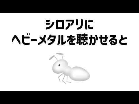 9割が知らない面白い雑学