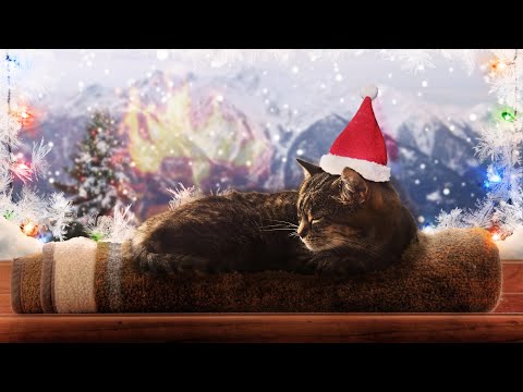 Christmas Ambience: purring cat, crackling fireplace, falling snow