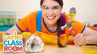 Caitie's Classroom Live  - Rocks! | Preschool Songs and Activities