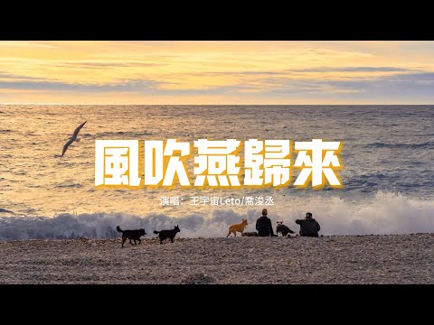 王宇宙Leto/喬浚丞 - 風吹燕歸來『陪着你等風吹燕歸來，陪着你等銀河變成海，風吹雲海思念難回來，我像大雁飛往夢中海。』【動態歌詞MV】