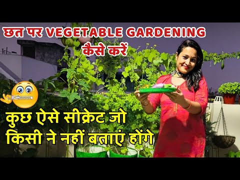 छत पर Vegetable Gardening  कैसे करें /कुछ ऐसे सीक्रेट जो किसी ने नहीं बताएं होंगे🤫🤫