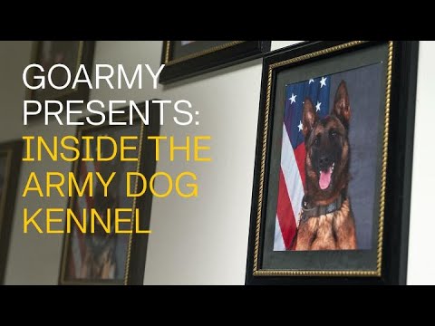 Inside the Army Dog Kennel | GOARMY