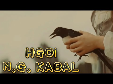 Hepimiz Gökyüzü Olmak İstedik (Lordlar ve Varisler) || N.G. KABAL