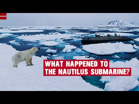 Daring expedition to the North Pole / How it was in reality