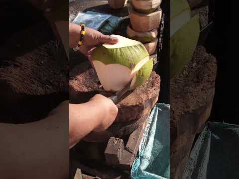 unique coconut cutting skills Asmr #cuttingskills #coconutcutting #youtubeshorts @GatchieJr33