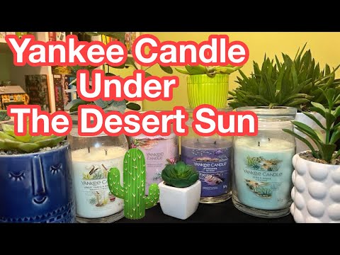 Yankee Candle Under The Desert Sun Collection Review 🏜️🌵