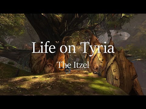 [GW2 Lore] Life on Tyria 08: The Itzel