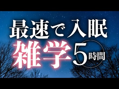 【睡眠導入】最速で入眠雑学5時間【合成音声】