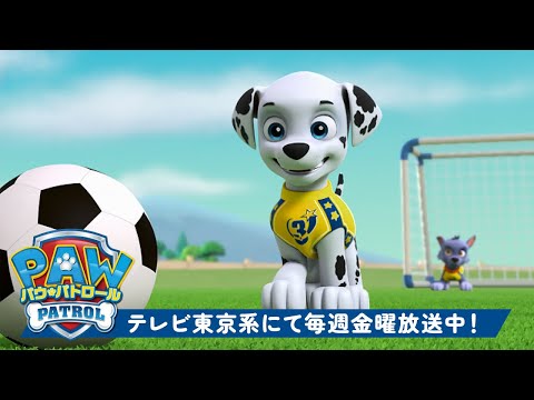 パウ・パトロール | パウ・パトロールとサッカー | テレビ東京系にて放送中