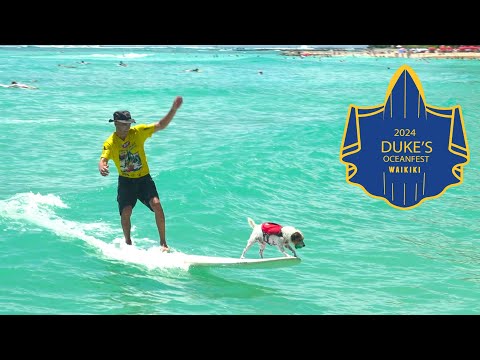 2024 Dogs SurFUR ComPETition at the Dukeʻs OceanFest in Waikiki