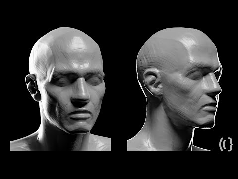 75-minute Sculpting Practice Session at 5x Speed